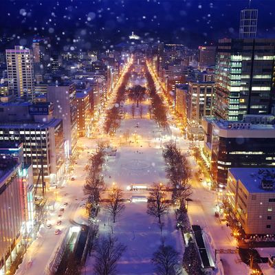 札幌・小樽フリープランイメージ