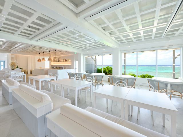 地中海料理「アネリア」の画像