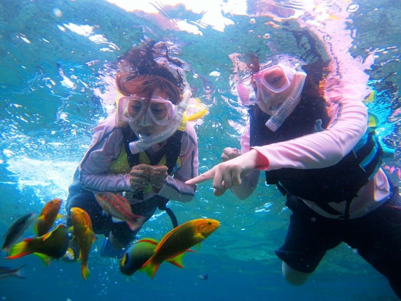 シュノーケリング