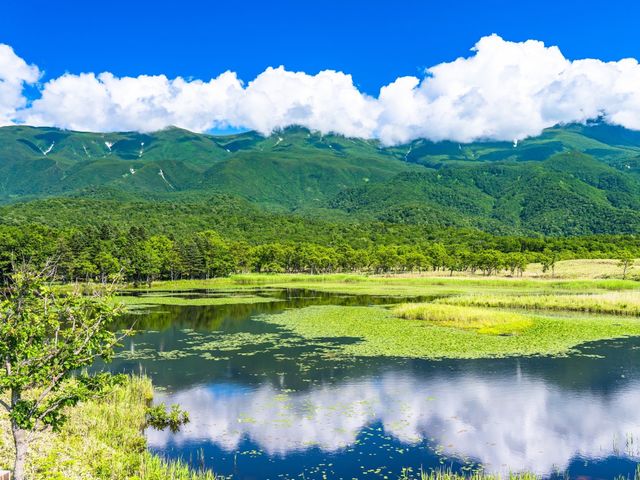 北海道周遊フリープランイメージ