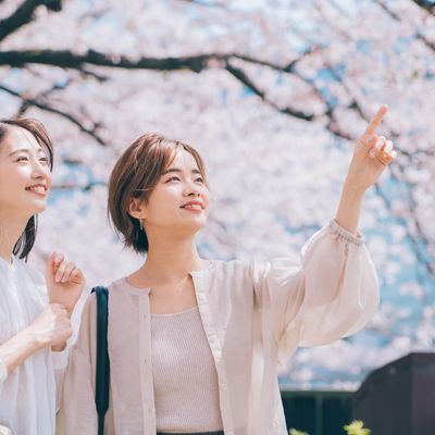 春休みにおすすめの九州ツアーイメージ