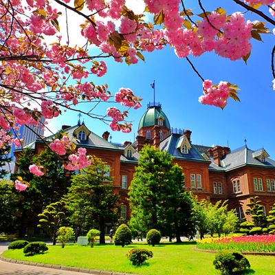 GWにおすすめの北海道ツアー2025イメージ