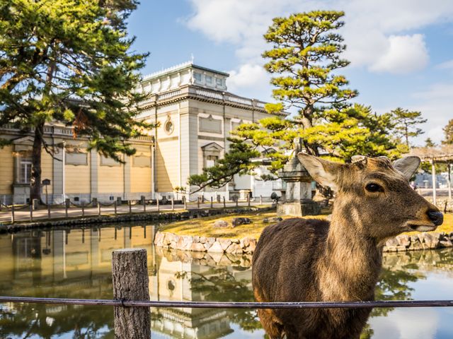ひとり旅で芸術鑑賞イメージ