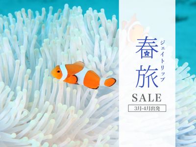 春旅セール　沖縄ダイビングツアーイメージ