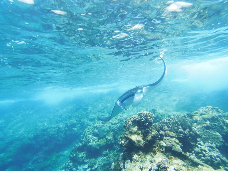 ヨナラ水道