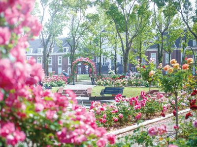 1DAYパスポート追加予約イメージ