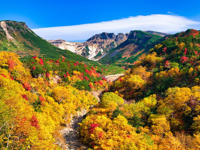 北海道周遊フリープラン《レンタカー付》イメージ