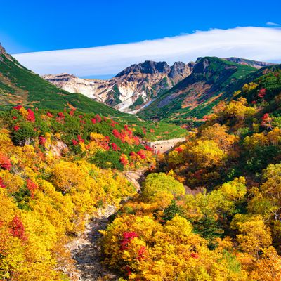 北海道周遊フリープラン《レンタカー付》イメージ