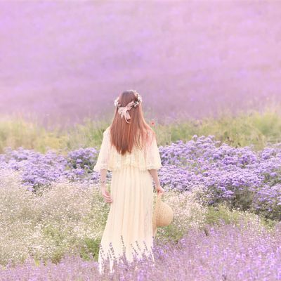 全国旅行支援で人気！北海道の売れ筋ホテルはこれ！イメージ