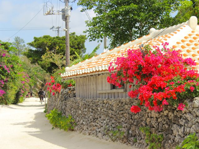 自然を感じる島めぐりイメージ