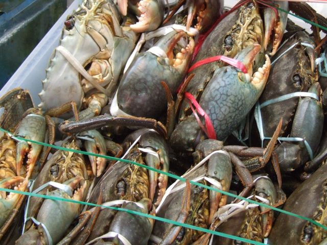 西表島グルメイメージ