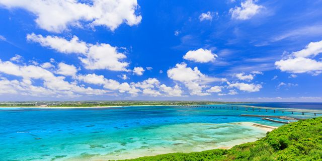 販売中のツアー