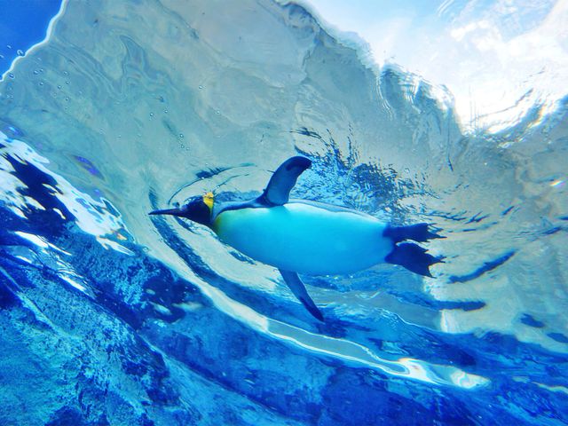 道央フリープランイメージ