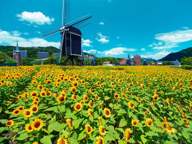 1.ハウステンボスで朝から晩まで大はしゃぎできるイメージ