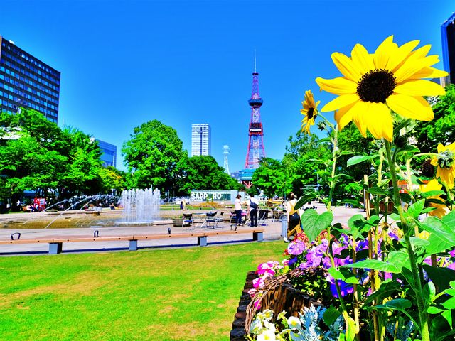 8月の北海道観光情報<br />
おすすめイベントイメージ