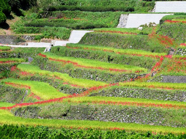 9月の九州旅行 楽しみ方イメージ