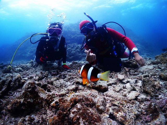 ライセンス講習も充実イメージ