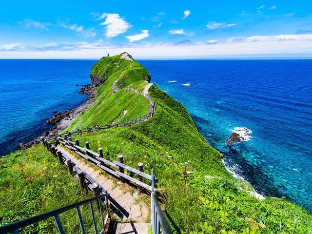 札幌・小樽フリープランイメージ