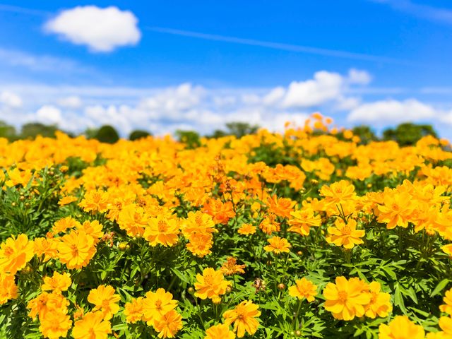 10月の北海道観光情報<br />
おすすめスポットイメージ