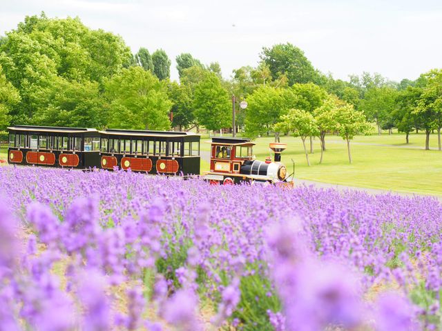 北海道フリープラン【レンタカー付き】イメージ