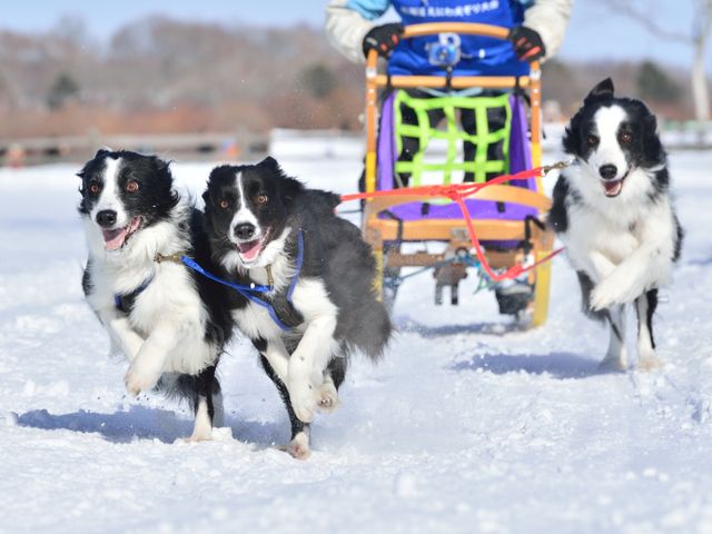 12月の北海道観光情報<br />
おすすめアクティビティイメージ