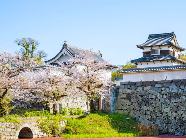 4月の九州旅行 楽しみ方イメージ