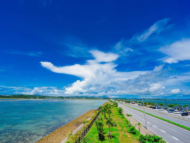 初泊那覇&沖縄本島フリープランイメージ