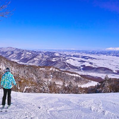 「道央エリア」フリープランイメージ