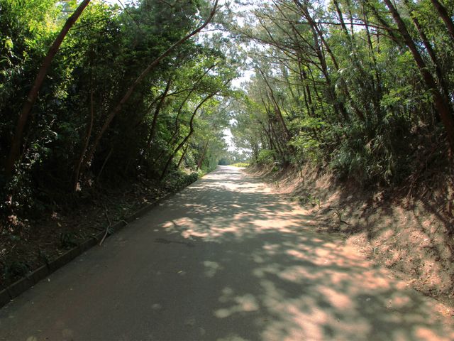 おばけ坂イメージ