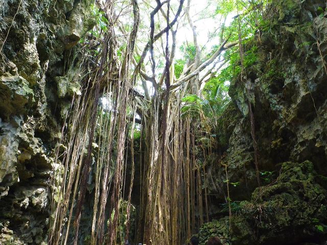 ガンガラーの谷イメージ