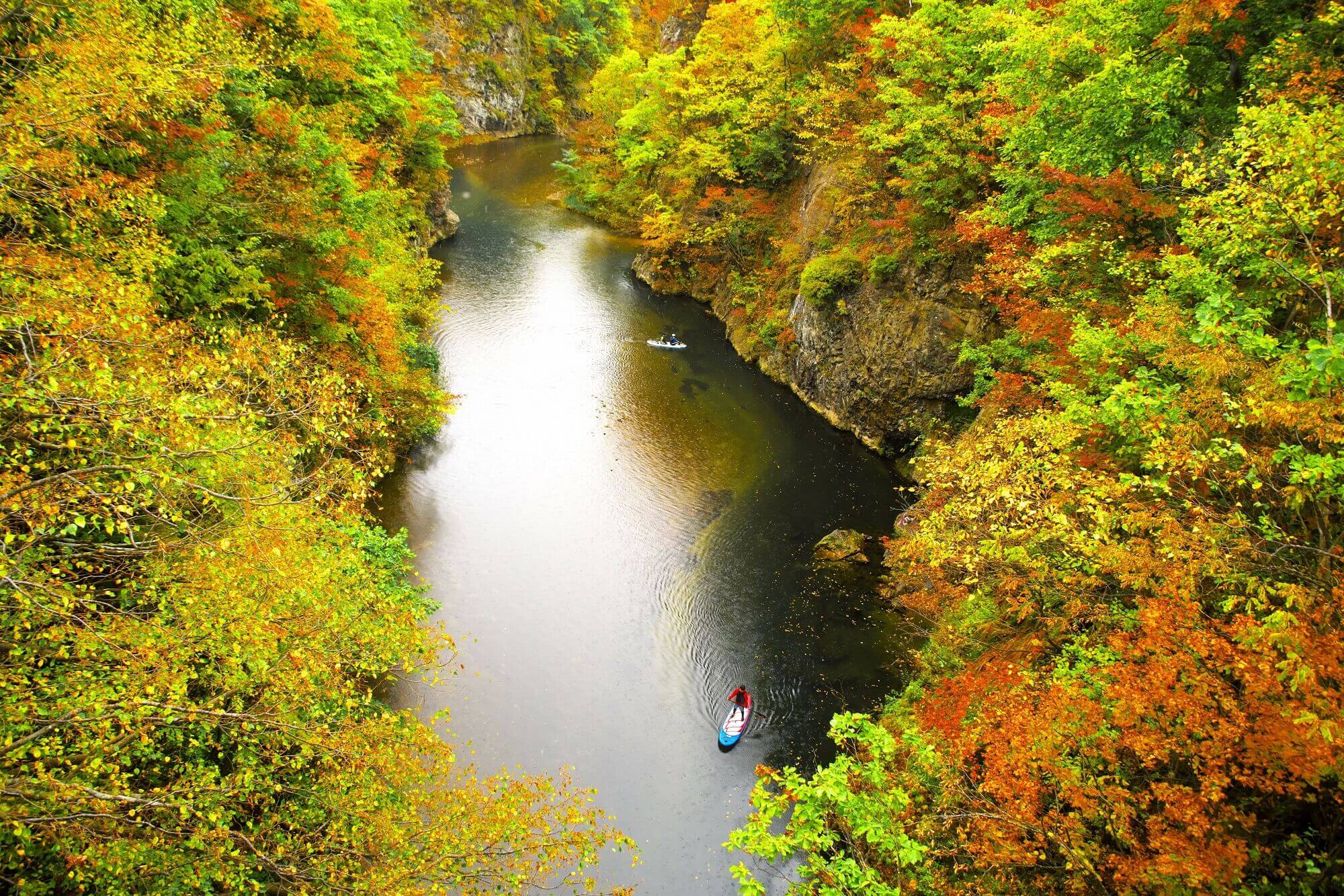 とにかく安く行きたい！10月 北海道ツアー 東京発｜北海道旅行・北海道
