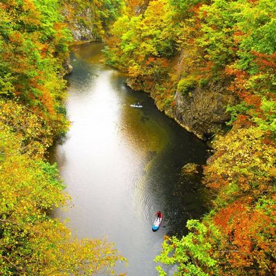 とにかく安く行きたい!10月 北海道ツアーイメージ
