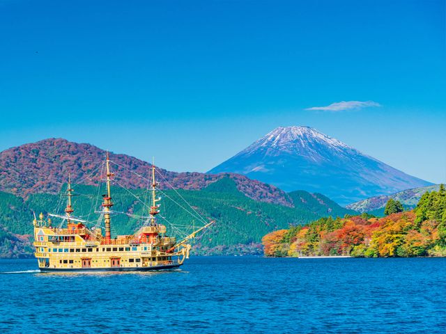 11月の見どころは･･･イメージ