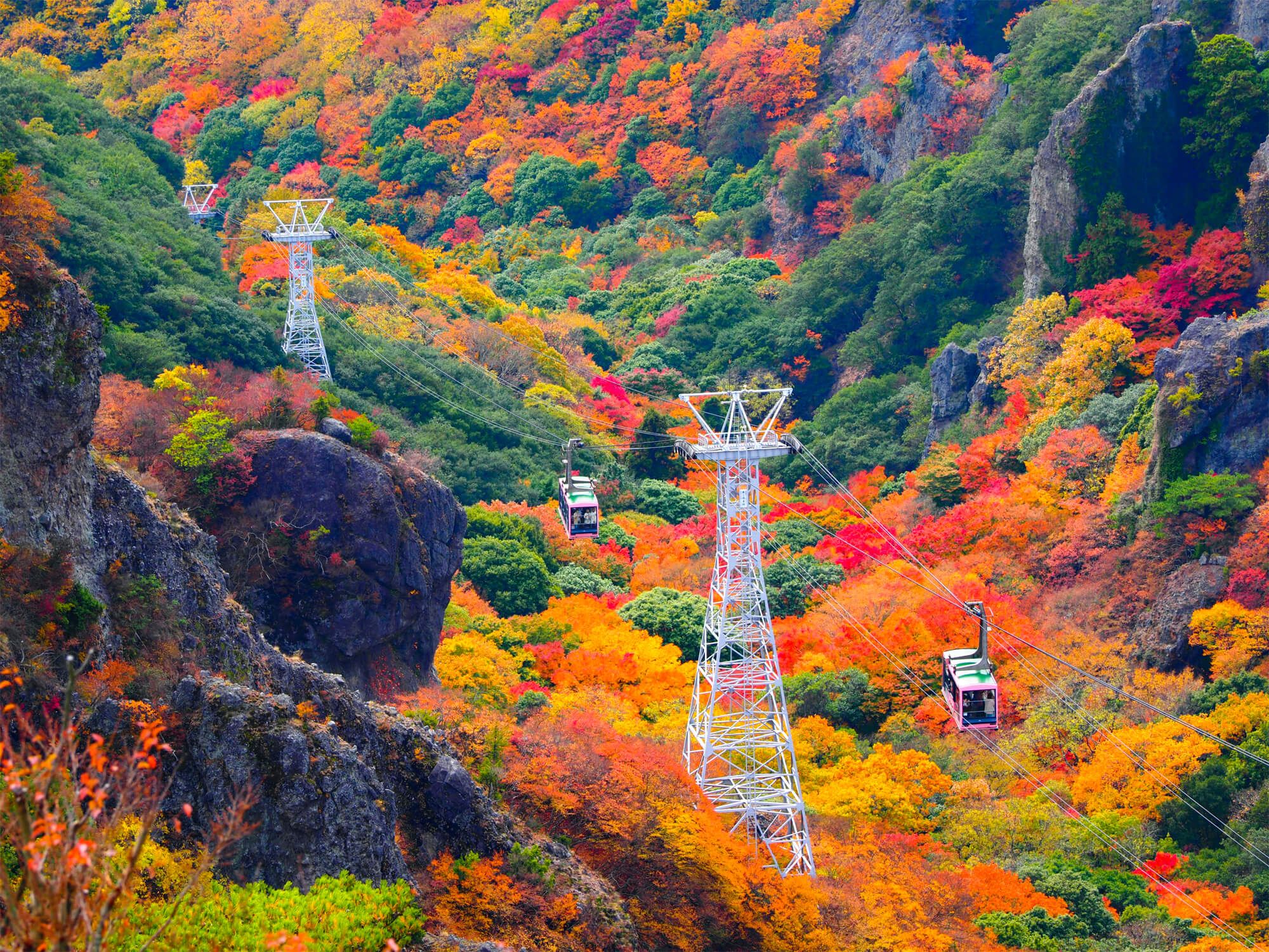 小豆島・寒霞渓の紅葉