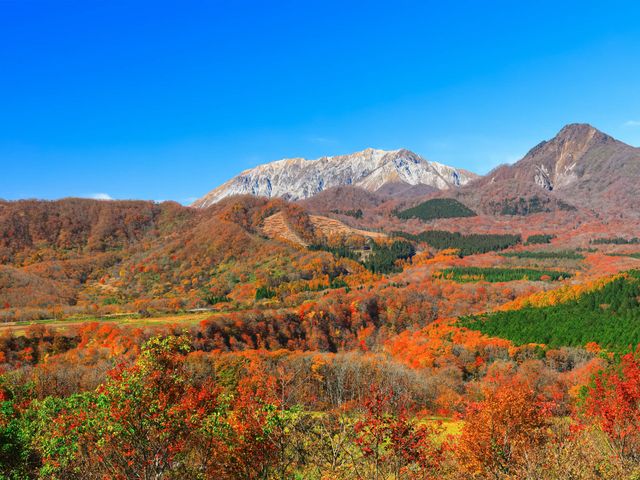 10月の中国エリアは･･･イメージ