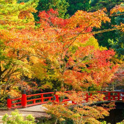 とにかく安くいきたい！10月 中国・四国ツアーイメージ