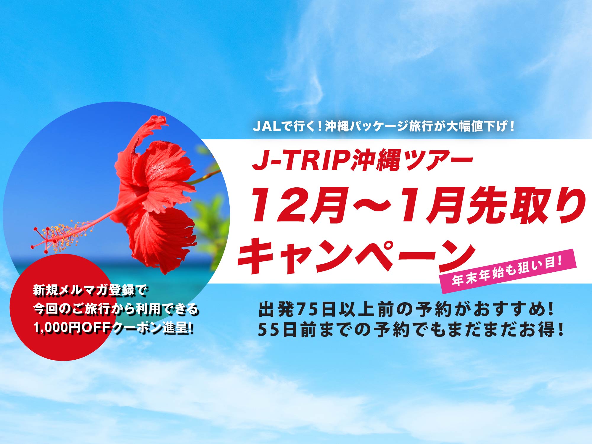 【1月まで！大幅値下げ中】APODGE DUAT 3 12月～1月先取りキャンペーン 東京発｜【公式】ジェイトリップ