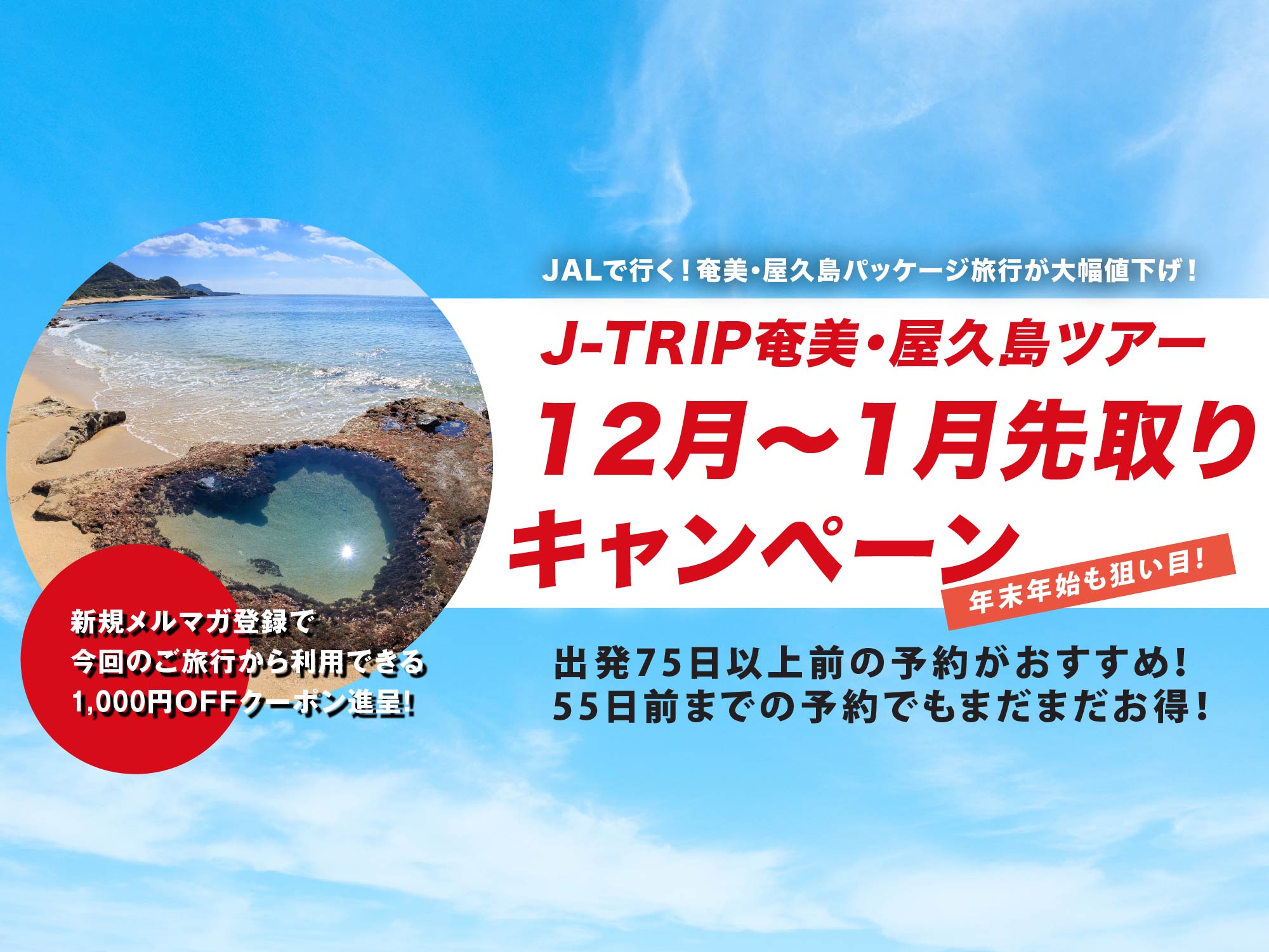 奄美大島ツアー・奄美大島旅行【格安旅行のJ-TRIP】