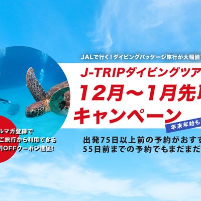 沖縄ダイビング12月～1月先取りキャンペーンイメージ
