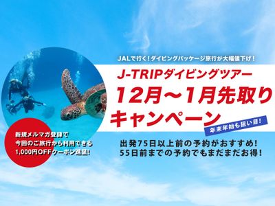 沖縄ダイビング12月～1月先取りキャンペーンイメージ
