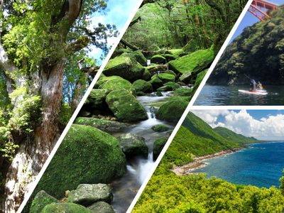 3つのアクティビティ付き！まるごと屋久島4日間・5日間イメージ