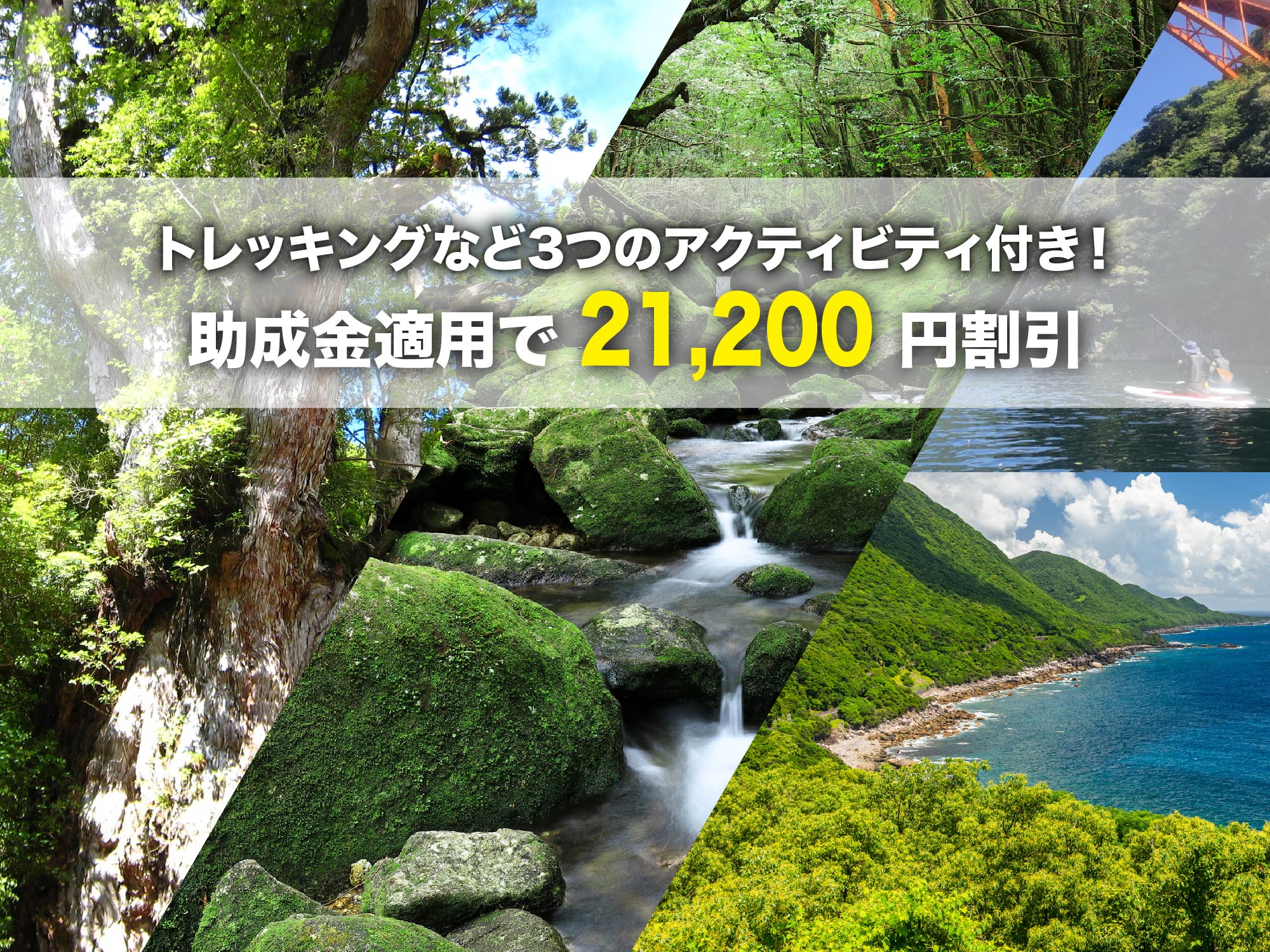 《屋久島空港利用》専属ガイドと行く!まるごと屋久島(山・山)屋久島町滞在型観光促進事業助成を利用してお得に屋久島ツアー 東京出発 5日間