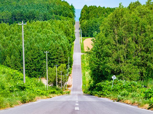 就実の丘イメージ