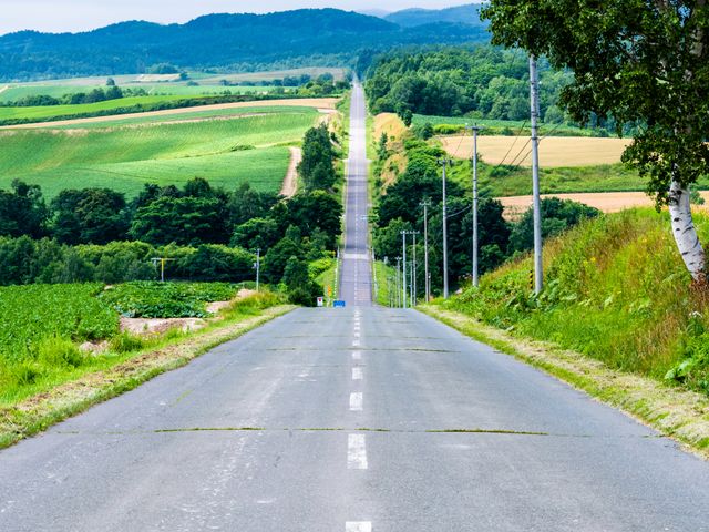 ジェットコースターの路イメージ