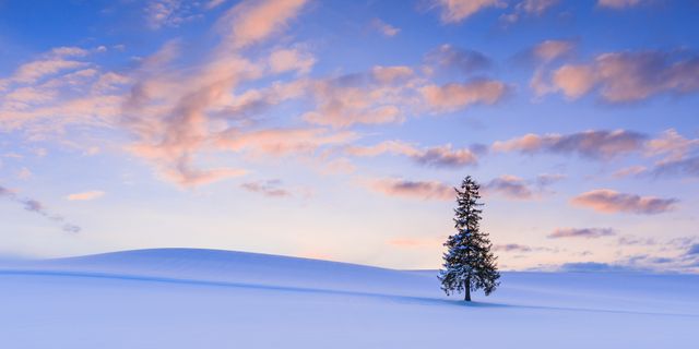 秋の北海道画像