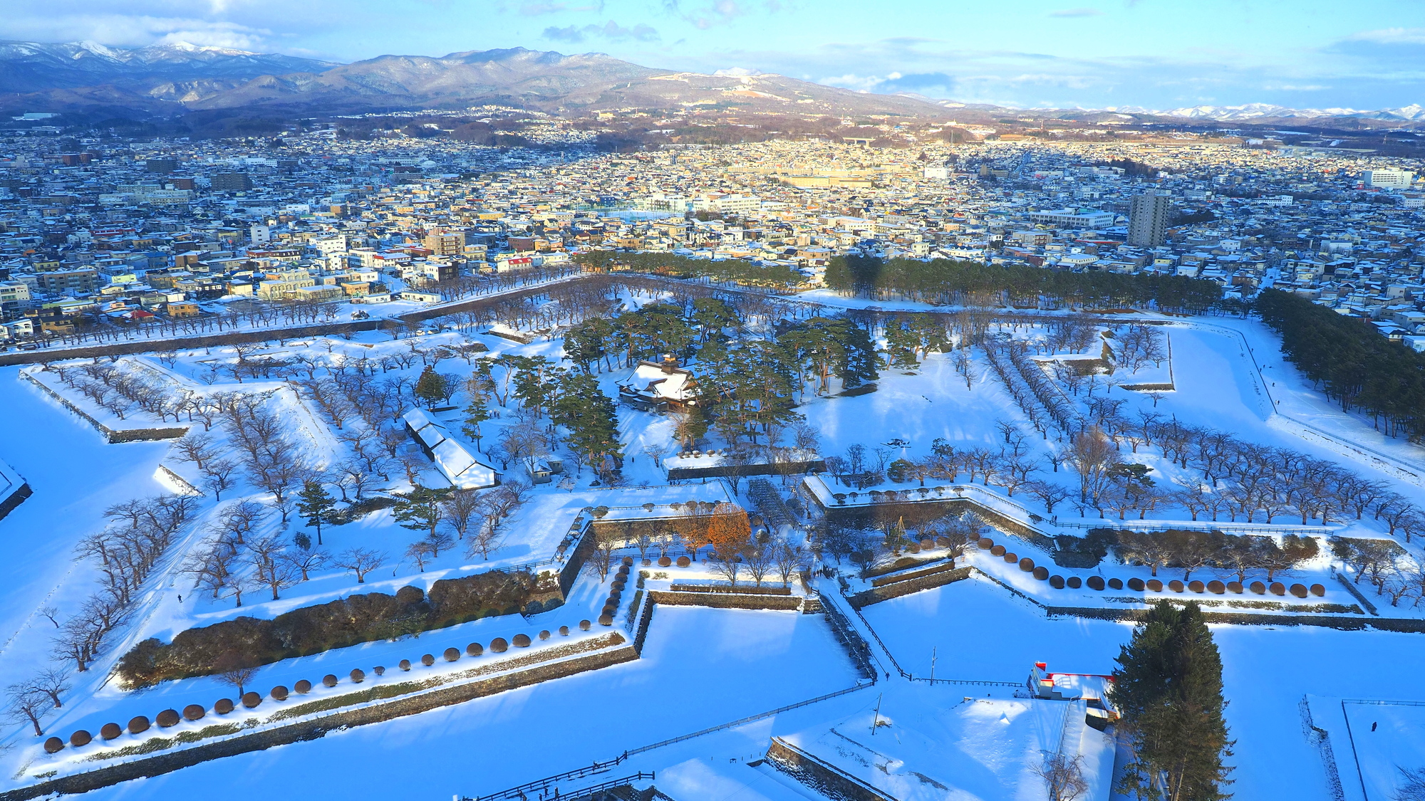 松山 北海道 パック