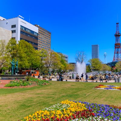 札幌・小樽フリープランイメージ