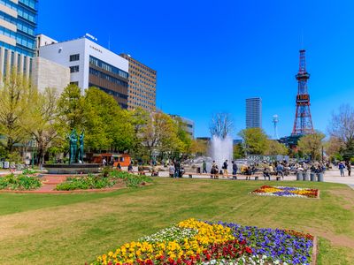 札幌・小樽フリープランイメージ