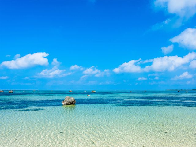 佐和田の浜