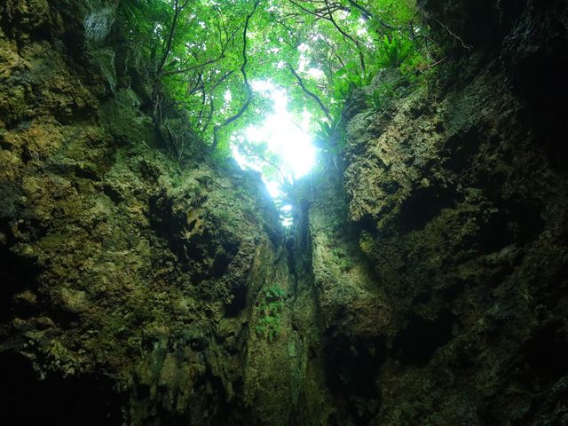 友利のあま井イメージ